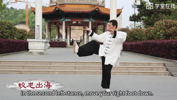Wudang TaiChi Episode 1 ---Ocean Serpent’s Rise/Core Torque Uncoil