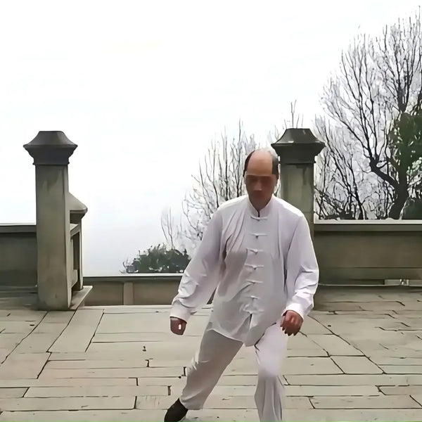 10min Core Stability • Bear Sway---Bear Posture