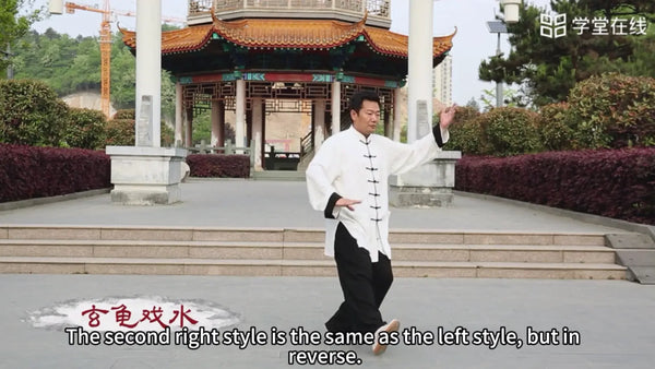 Wudang TaiChi Complete